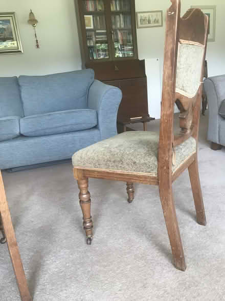 Photo of free Edwardian oak dining chairs (Dunlop, East Ayrshire) #4