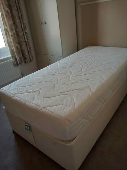 Photo of free Single bed (Hillsborough S6) #1
