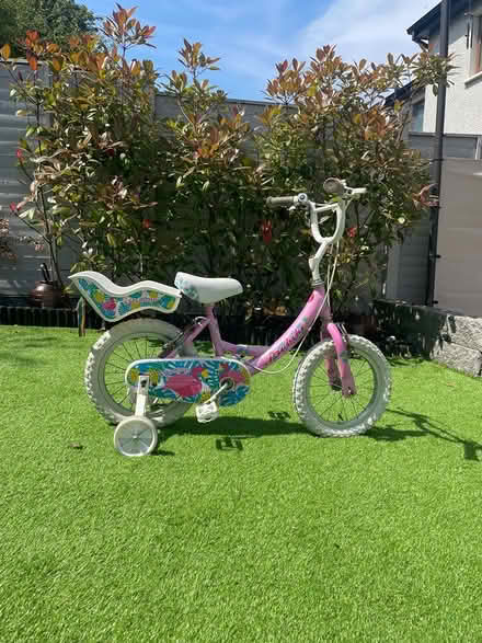 Photo of free Girls Bicycle’s (14” / 18” / 24”) (Cornamaddy, Athlone) #2