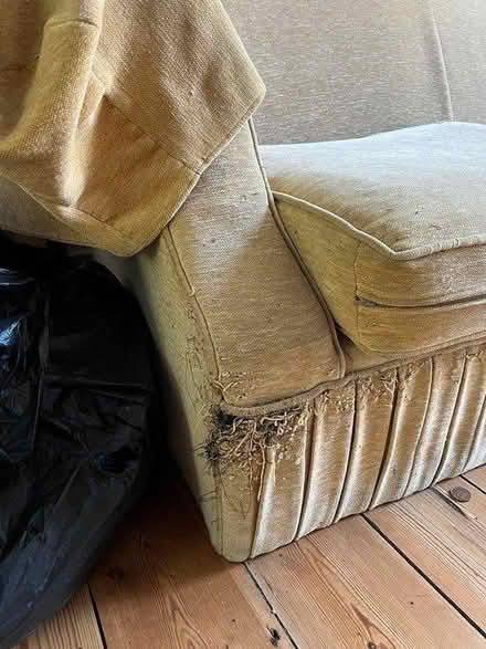 Photo of free Super comfy sofa (SE25 south Norwood) #1