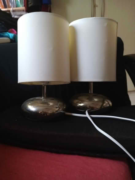 Photo of free Pair of lamps about 300mm high including shades (Pokesdown BH6) #1