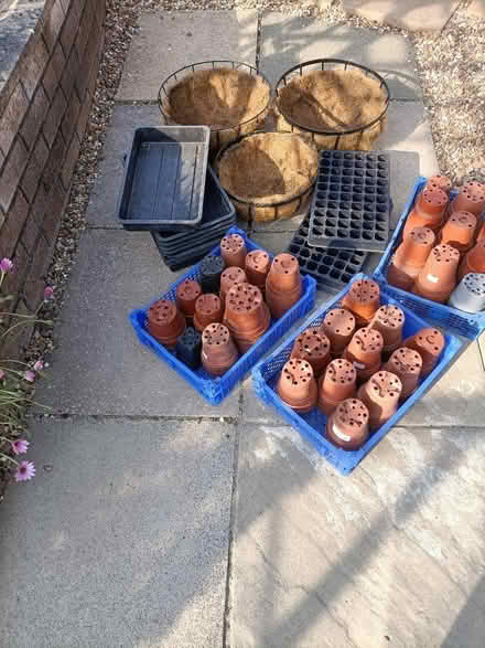 Photo of free Gardening Items (Yelland EX31) #1
