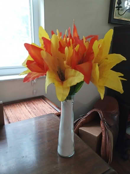 Photo of free Silk Lily Flowers (McKnight Rd and Manchester Rd) #1