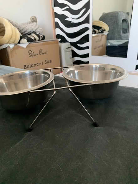 Photo of free Raised Food bowls (Manchester M8) #2