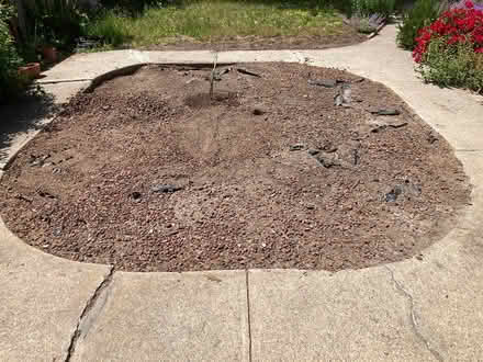 Photo of free Garden landscape lava rock (West Petaluma) #1