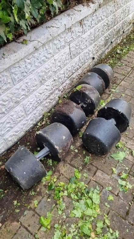 Photo of free Dumbells x 4 (Southbourne BH6) #1