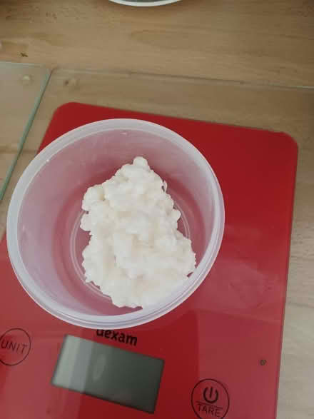 Photo of free Keffir grains (Hitchin, SG4) #1