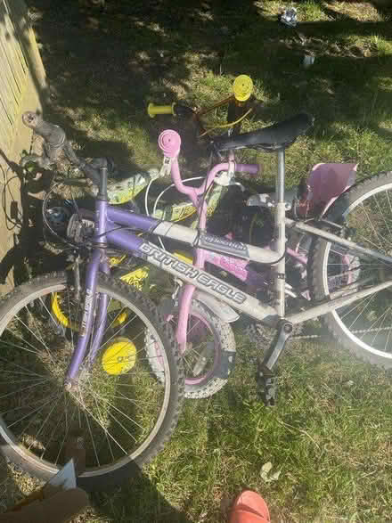 Photo of free Bike (st Albans AL3 5) #1