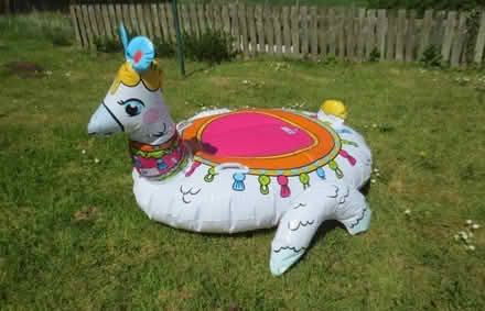 Photo of free Inflatable llama (Kittybrewster AB24) #1