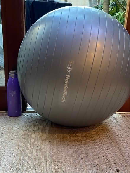 Photo of free Fitness ball large (Newtown) #1