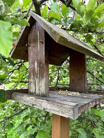 Photo of free Bird Table and Feeder (Presteigne LD8) #1