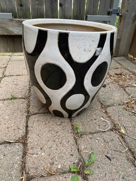 Photo of free Indoor pot for plants (S. Boulder) #1