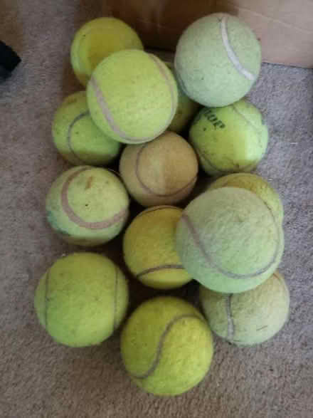 Photo of free Old tennis balls - fine for a dog! (Bear Flat) #1