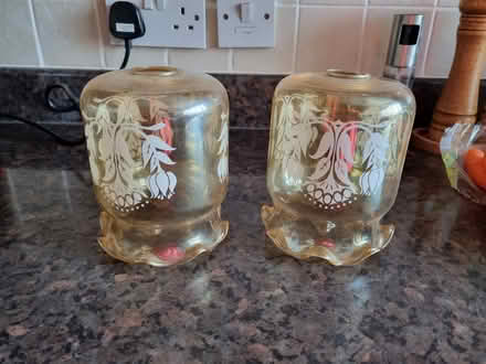 Photo of free Glass light shades (Ribbleton PR2 6) #1