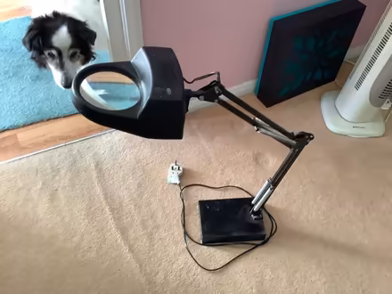 Photo of free magnifying lamp (Letchworth, grange) #3