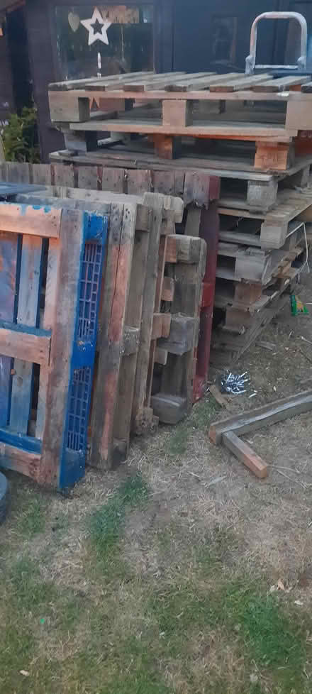 Photo of free Pallets (Taunton TA1) #1