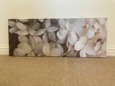 Photo of free Wall art - orchid petals (Ferryhill AB10) #1