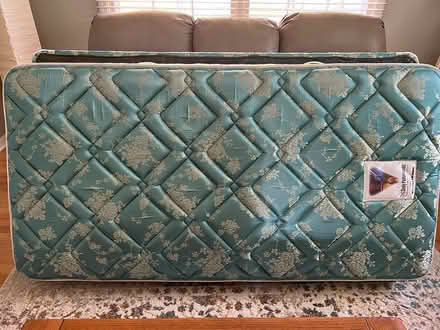 Photo of free Twin mattress and box spring (Northshore) #1