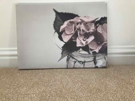 Photo of free Wall art - hydrangea (Ferryhill AB10) #1
