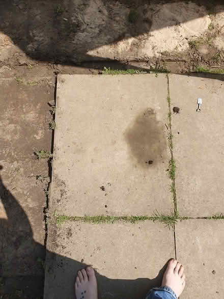 Photo of free Paving slabs/ pavers (Owlthorpe S20) #2