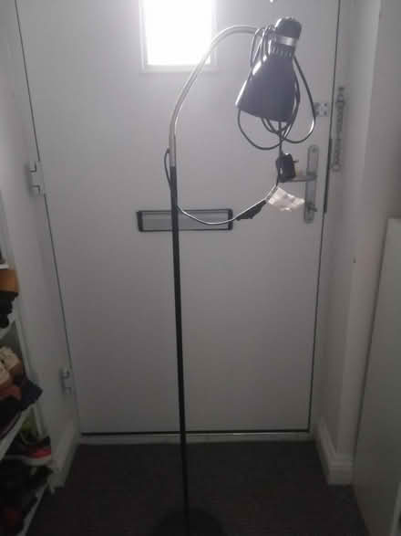 Photo of free Standard lamp (Penzance TR18) #1