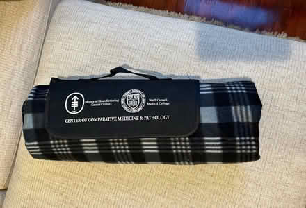 Photo of free Floor mat/blanket (Downtown Bayonne, NJ) #3
