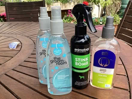 Photo of free Deodorising Spray for Dogs (Broadclyst) #1