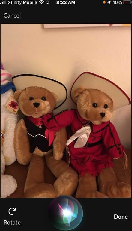 Photo of free Stuffy Bears (North Burien) #2