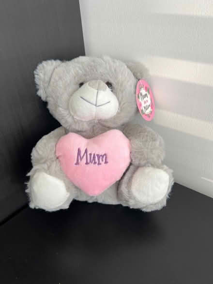Photo of free Mum in a Million Teddy (Cramlington NE23) #1