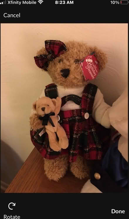 Photo of free Stuffy Bears (North Burien) #4