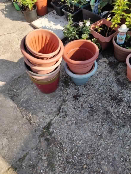 Photo of free More large plastic pots (Paddock Wood TN12) #1