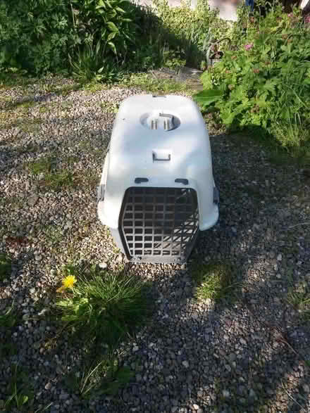 Photo of free Pet carrier (Bentlawnt SY5) #2