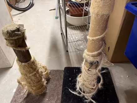 Photo of free Old cat scratch poles (Wrea Green PR4) #1