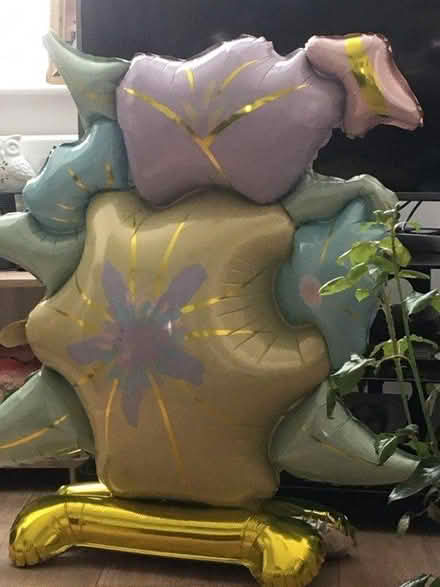 Photo of free Balloon (Plumstead SE18) #1