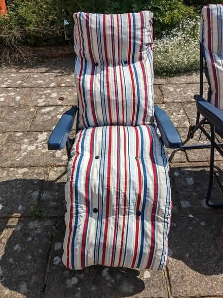 Photo of free 2 x sun loungers (SN8) #4