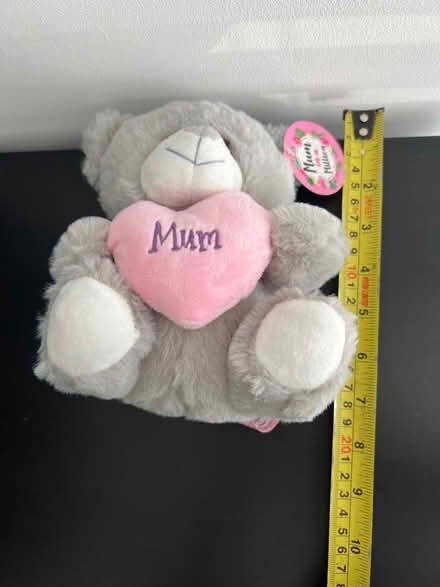 Photo of free Mum in a Million Teddy (Cramlington NE23) #2