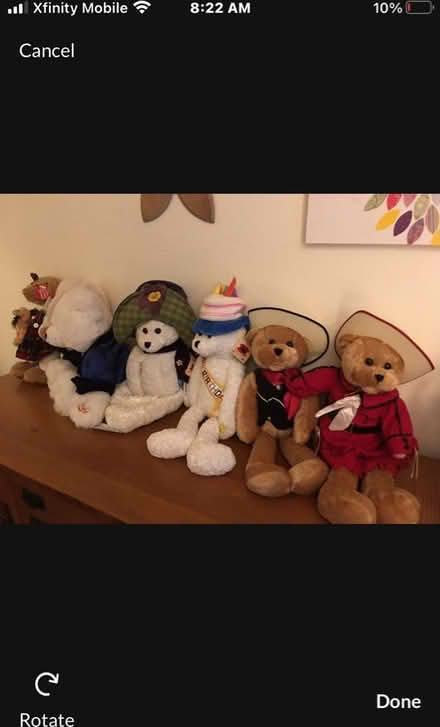 Photo of free Stuffy Bears (North Burien) #1