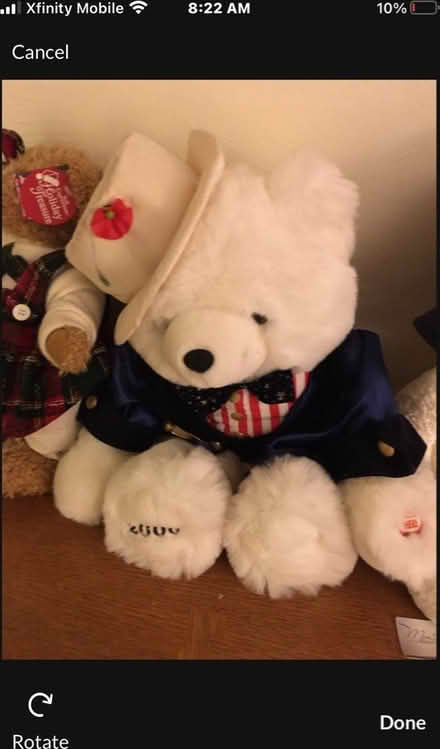 Photo of free Stuffy Bears (North Burien) #3