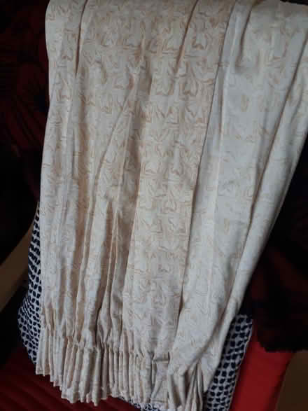Photo of free Curtains (Skipton BD23) #4