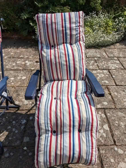 Photo of free 2 x sun loungers (SN8) #3