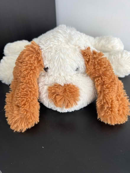 Photo of free Cuddly Toy (Cramlington NE23) #1