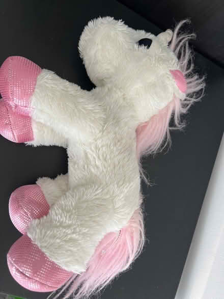 Photo of free Unicorn Teddy (Cramlington NE23) #1