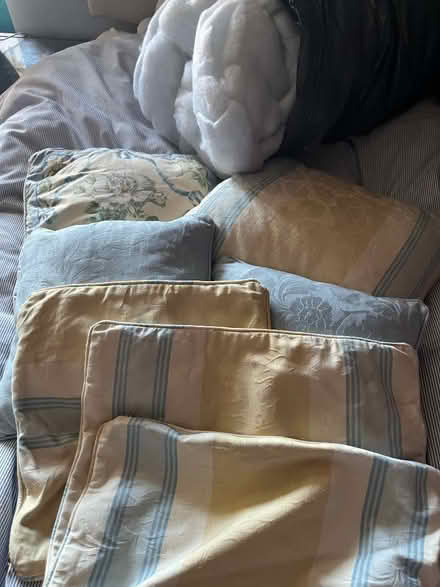 Photo of free Throw cushions, covers and stuffing (Blackford PH4) #2