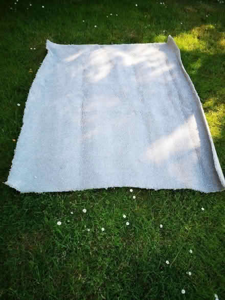 Photo of free Carpet off cut (Brentwood CM14) #1