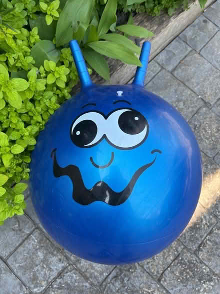 Photo of free Space hopper for a small child (Middle Aston OX25) #1