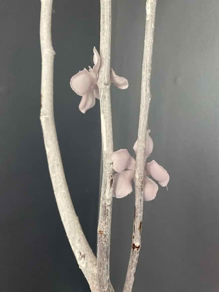 Photo of free Decorative Branch with Silk Flowers (Princeton (western side)) #3