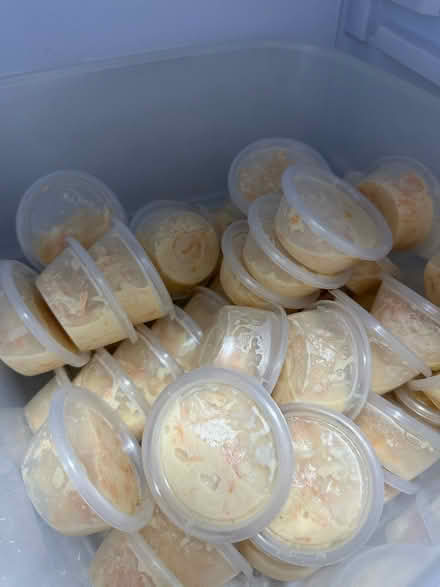 Photo of free Freshly made Coleslaw (Whalley Range) #1