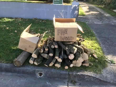 Photo of free Fire wood (Blue Mountains) #1