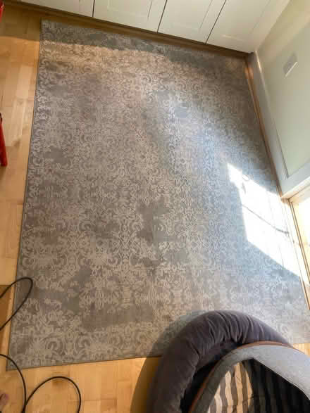 Photo of free Grey rug (Ten mins from Cville downtown) #2