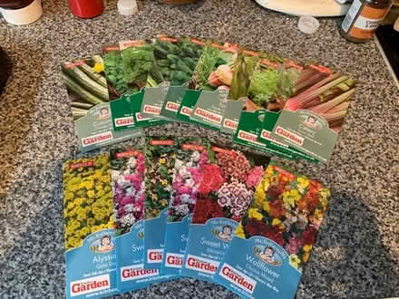 Photo of free Seeds (DA1) #1